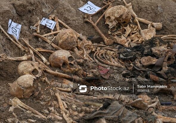 В массовых захоронениях в Губе обнаружено более 600 человеческих скелетов