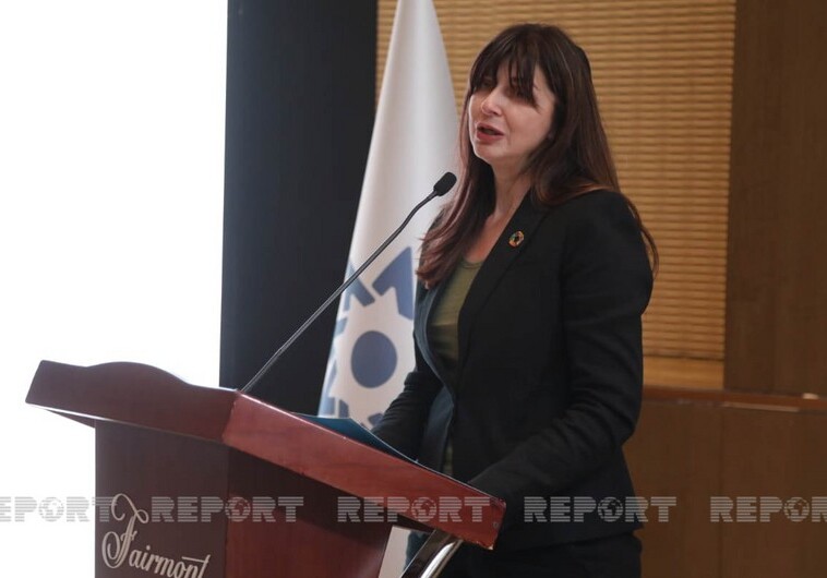 Представитель ООН: «Территория Азербайджана - одна из наиболее загрязненных минами мест в мире»