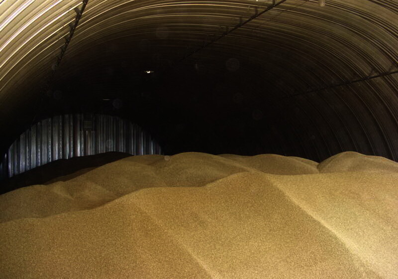 Азербайджан увеличивает запасы зерна