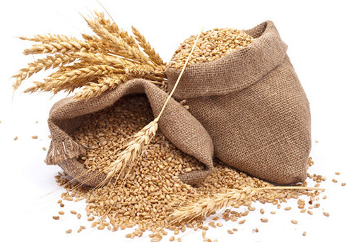 В Азербайджане повышена закупочная стоимость пшеницы 