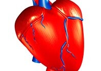 Ученые создали мягкий роботизированный «чехол» для сердца