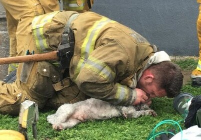 Пожарный из США спас собаку, сделав ей искусственное дыхание (Фото)