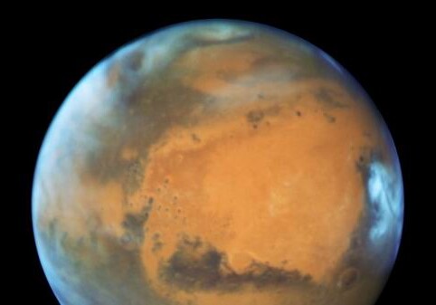 NASA изготовит защитный крем из чернобыльских грибов для колонистов Марса