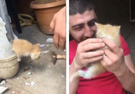 Жест доброты:В Баку молодой человек спас котенка из водосточной трубы (Видео) 
