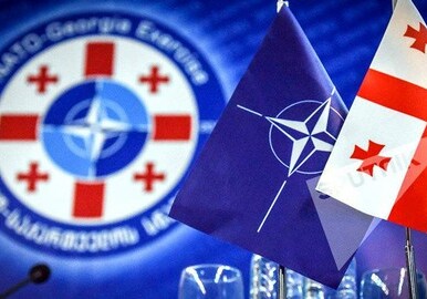 Тщетные старания