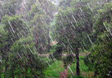 Завтра в Азербайджане ожидаются грозы и дожди, местами ливни