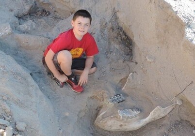 В США десятилетний мальчик нашел череп предка слона возрастом 1 млн лет