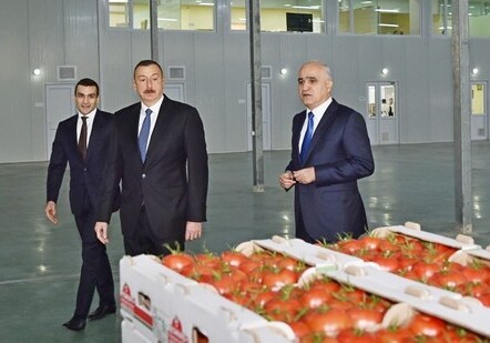 Президент Азербайджана ознакомился с работами, проводимыми в «BAKU AGROPARK» (Фото)