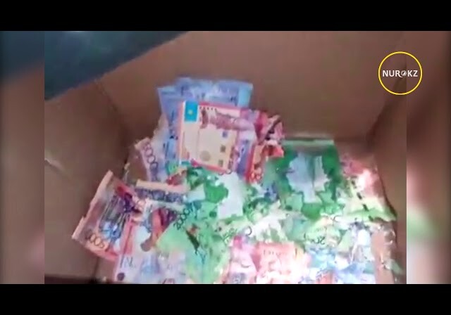 Мыши погрызли деньги в казахстанском банке (Видео)