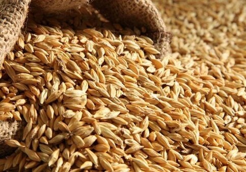 Минсельхоз: Азербайджан сократил импорт пшеницы