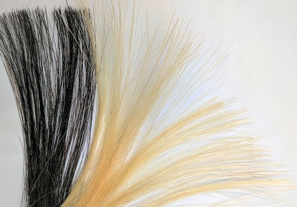 Ученые создали безопасную краску для волос