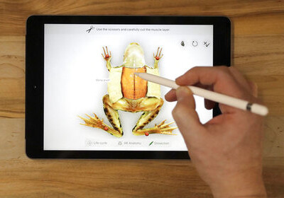 Apple представила самый доступный iPad (Видео)