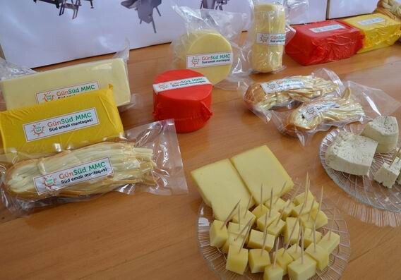 В Азербайджане приступили к производству желтого сыра