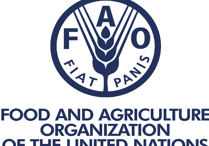 FAO о необходимых мерах для еще большего улучшения продбезопасности в Азербайджане