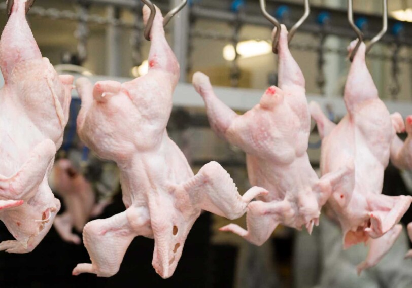Азербайджан запретил ввоз курятины из ряда регионов России в связи с птичьим гриппом