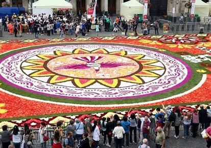 В Брюсселе стартовал фестиваль «Ковер из цветов» (Фото-Видео)
