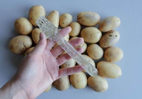 Шведский студент создал пластик из картофеля