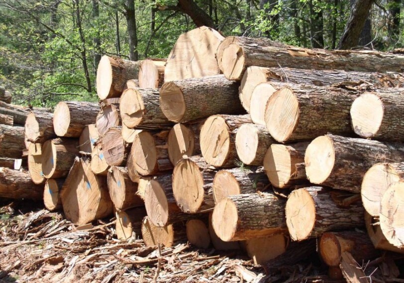 Азербайджан закупает древесину в Республике Коми России
