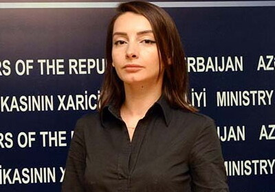 Лейла Абдуллаева: «Азербайджан не видит препятствий для продолжения переговоров о демаркации госграницы с Грузией»