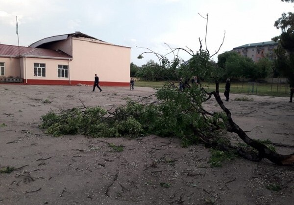 Сильный ветер повалил деревья и повредил линии электропередач в Гусаре и Гахе (Фото)
