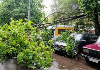 ИВ Баку предупредила жителей столицы в связи с сильным ветром