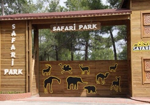 В Азербайджане заработал единственный на Кавказе сафари-парк – Стоимость экскурсии