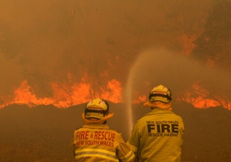 Лесные пожары окутали Австралию, объявлен высокий уровень опасности (Фото-Видео)