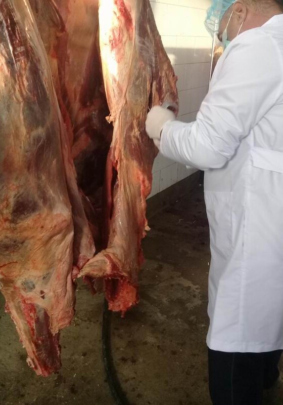 В Сумгайыте уничтожены сотни килограмм непригодной говядины (Фото)