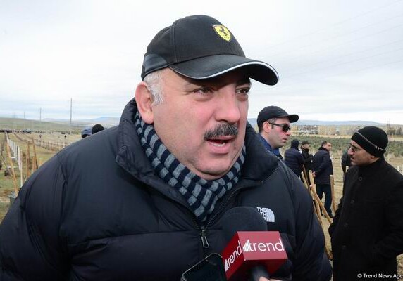 Бахрам Багирзаде: «Обещал, что посажу 48 деревьев – по годам моей жизни, и счастлив это осуществить»