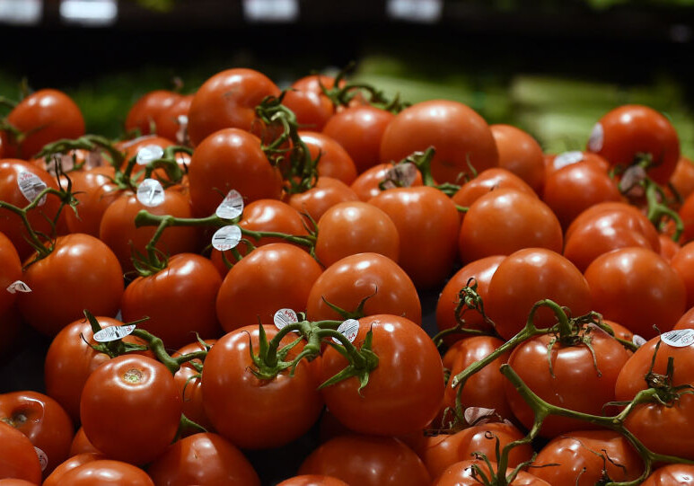 Россия вернула Азербайджану зараженные томаты 
