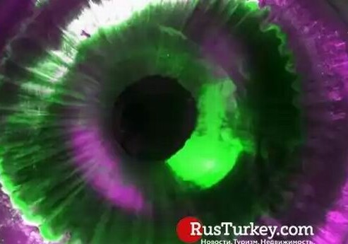 Турецкий врач создал прозрачную 3D модель глаза