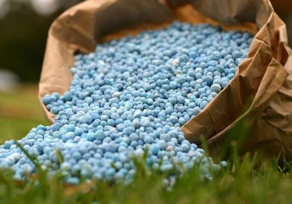 Рынок удобрений и пестицидов в Азербайджане полностью либерализован