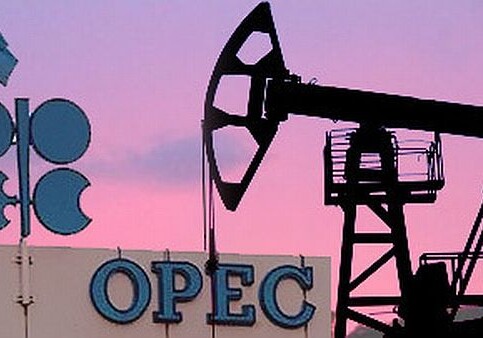 ОПЕК изменила прогноз добычи нефти в Азербайджане на этот год