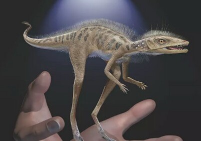 Крохотного предка динозавров нашли на Мадагаскаре