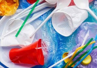 В Европе начали запрещать одноразовую пластиковую посуду и ватные палочки