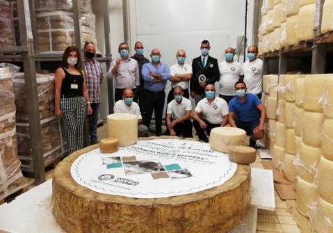 Итальянский сыр весом 600 кг попал в Книгу рекордов Гиннесса