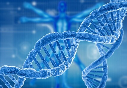 В ДНК человека обнаружены следы древнего неизвестного предка