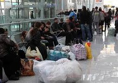 В качестве живого щита