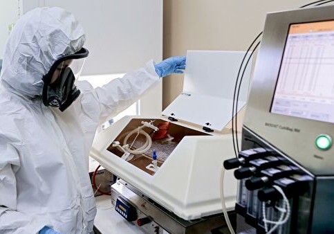 Облучить вирус: ученые предложили лечить СOVID-19 радиацией