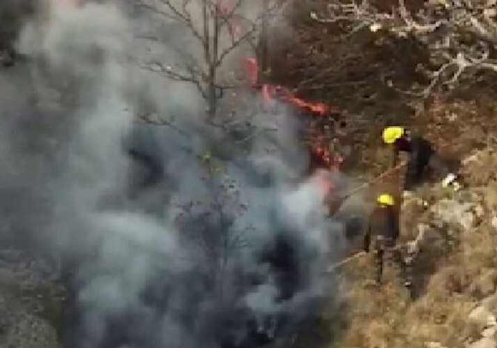 Потушен лесной пожар, произошедший в Дашкесане в результате армянского обстрела (Видео) 