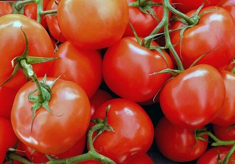 Россия запретила импорт овощей из одной из областей Армении