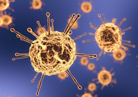 Ученые обнаружили новые антитела к коронавирусу