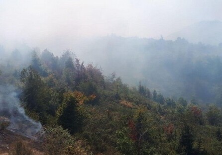 Продолжается тушение пожара в Гирканском национальном парке (Видео)