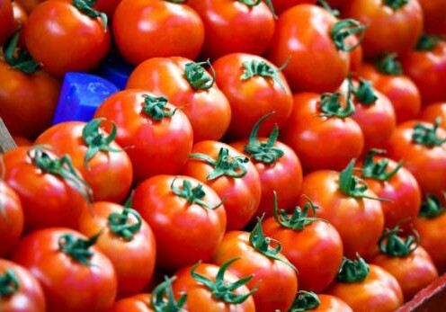 Казахстан временно запретил ввоз томатов из Азербайджана
