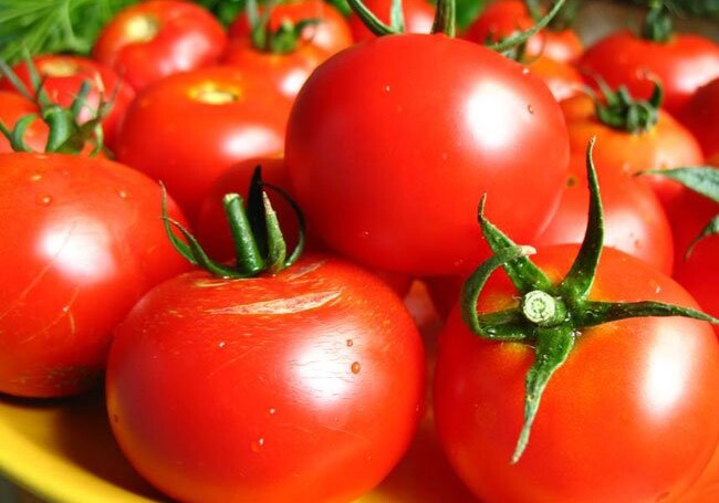 Россельхознадзор разрешил поставки помидоров с 12 азербайджанских предприятий