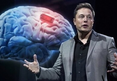 Компания Илона Маска планирует начать внедрять чип в мозг людям до конца 2021 года