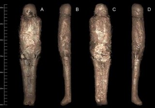 Ученые впервые нашли древнеегипетскую мумию в глиняной оболочке