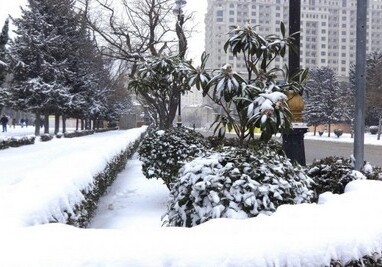 Из-за снежной погоды в некоторых школах Азербайджана отменены занятия