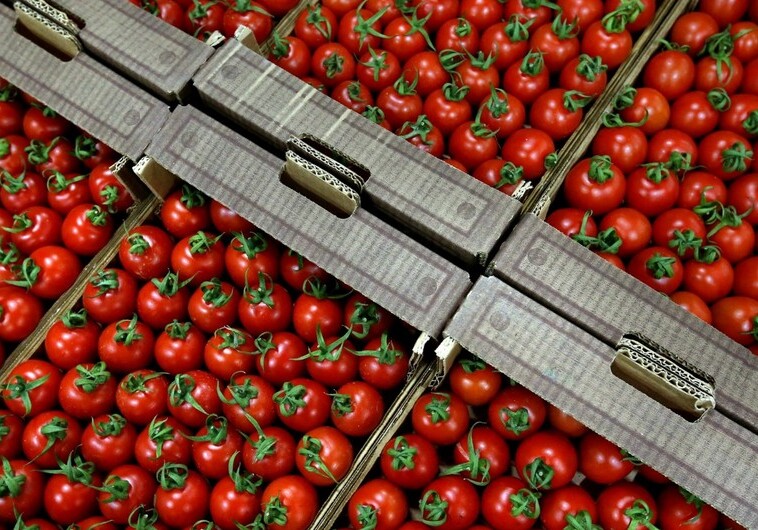 Россельхознадзор разрешил поставки томатов еще 19 предприятиям Азербайджана