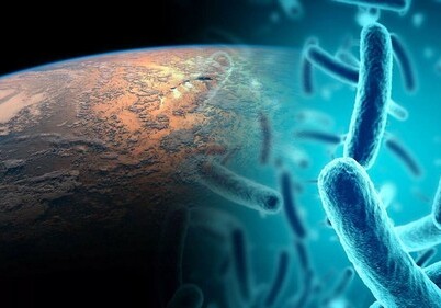 Ученые назвали организмы, которые выживут через 1 млрд лет